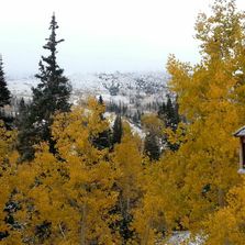 Fall colors and snow