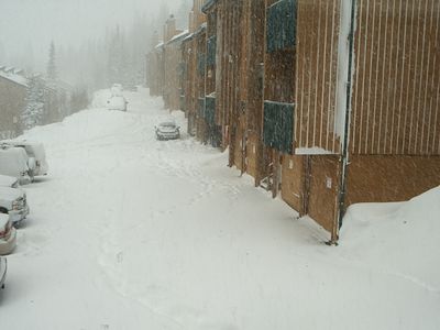 A look down The Ridges driveway